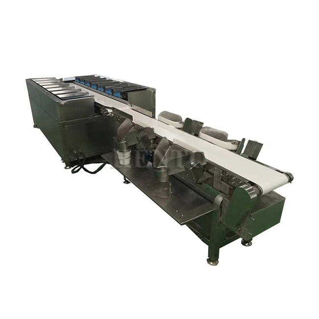 Combination Sorter Scale