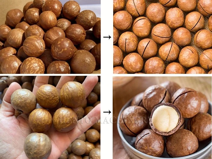 Macadamia Nut Cracker Macadamia Nut Cracker